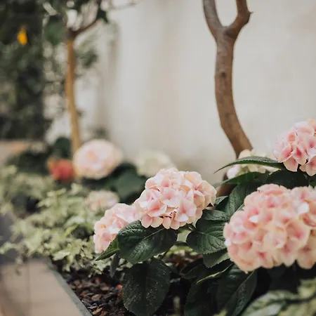 Hotel Feichter Hotel & Living Bolzano