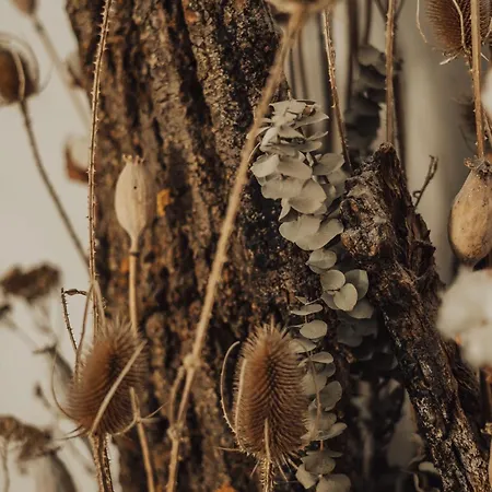 Feichter & Living Hotel Bozen