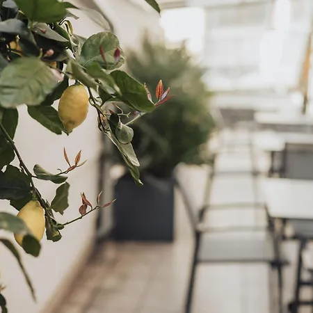 Ξενοδοχείο Feichter & Bistro