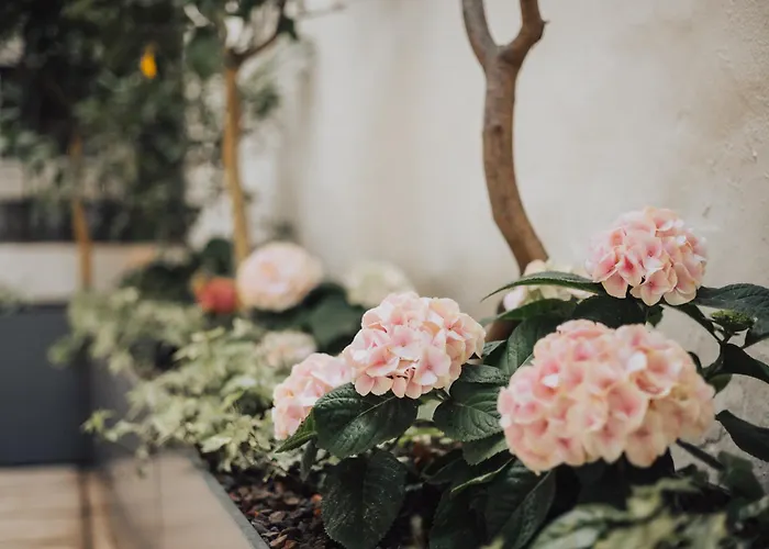 Hotel Feichter & Living Bozen